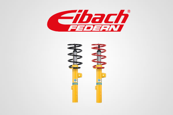 EIBACH-Federn
